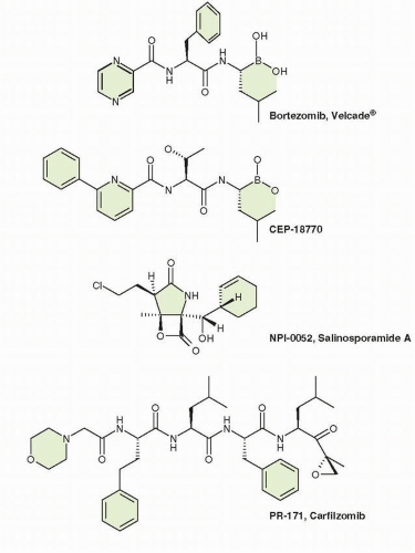 Proteasome Inhibitors | Oncohema Key