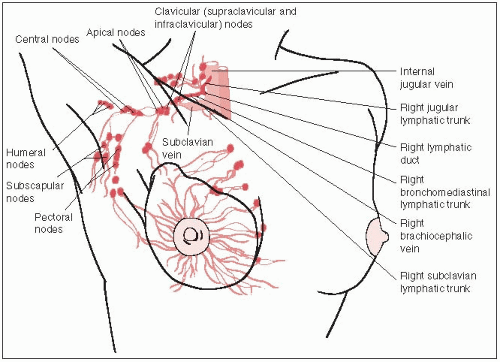 Lymphatic Drainage Of Mammary Gland Anatomy Best Drain Photos Lymphatic Drainage Of Mammary Gland Anatomy Best Drain Photos