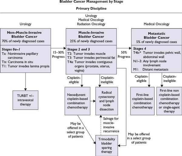 Bladder Cancer Oncohema Key