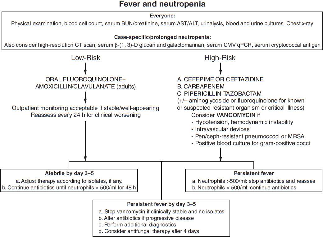Febrile Neutropenia Oncohema Key
