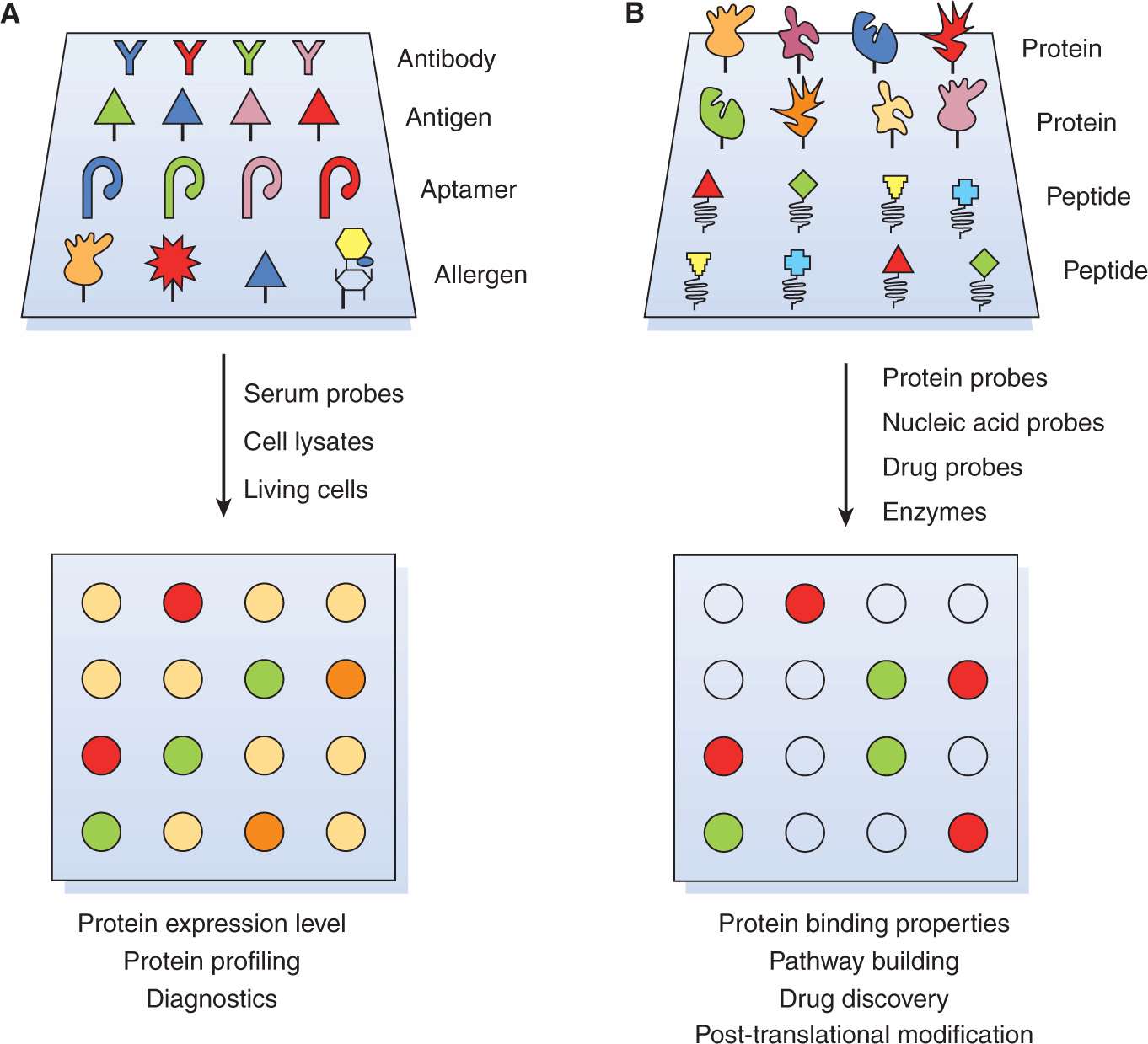 Methods of Molecular Analysis Oncohema Key