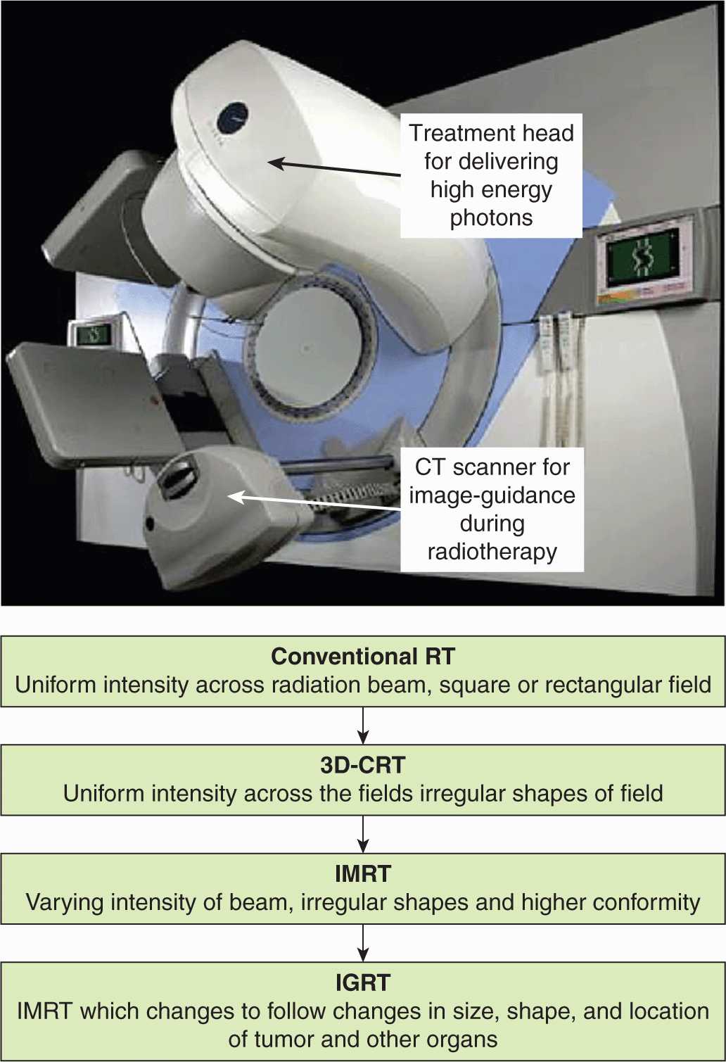 Tumor and Normal Tissue Response to Radiotherapy Oncohema Key