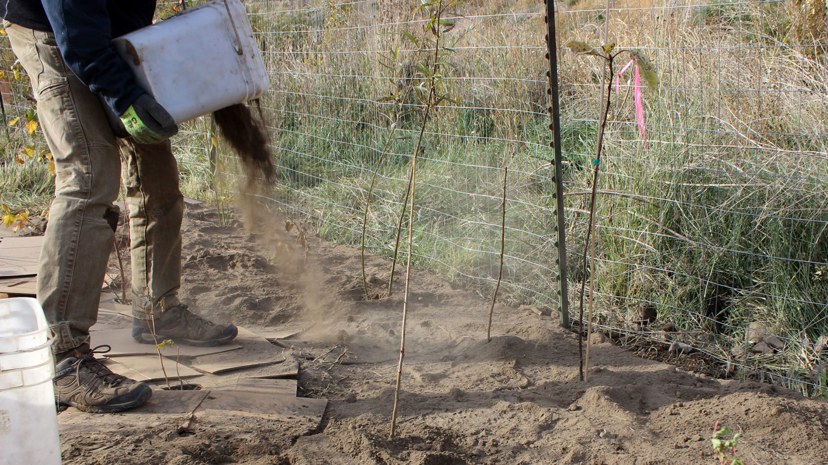 Canceled Deschutes River Ranch Riparian Restoration Oregon Natural