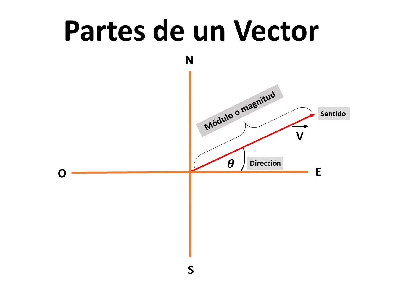 Vectores teoría, ejemplos y ejercicios resueltos Ondas y Partículas