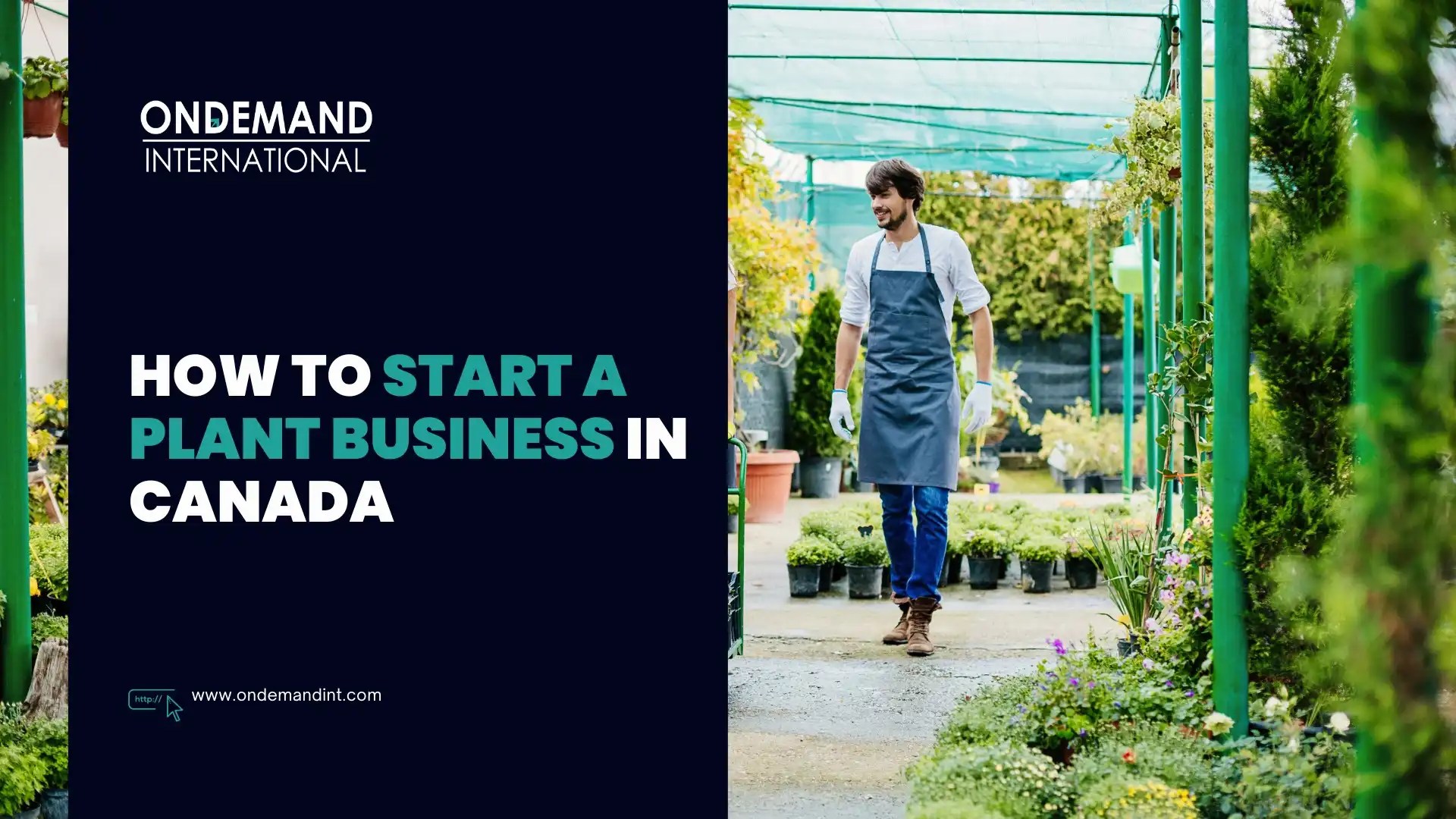 How to Start a Plant Business in Canada in 5 Easy Steps