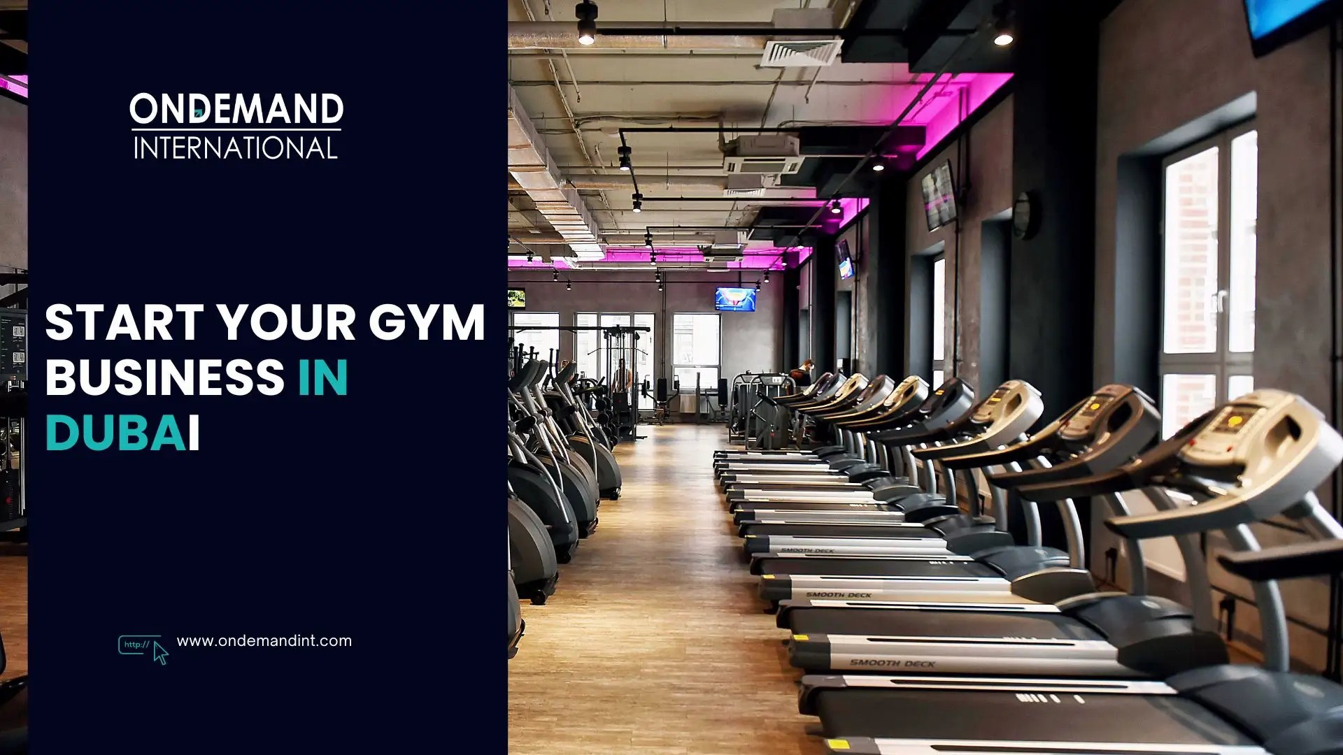 Start Your Own Gym Business in Dubai, UAE in 202425