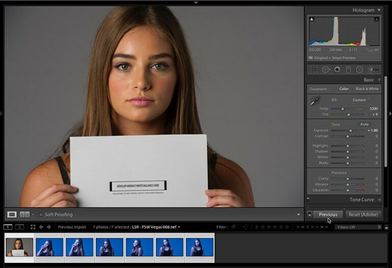 Mastering White Balance A Comprehensive Guide to Using a Gray Card