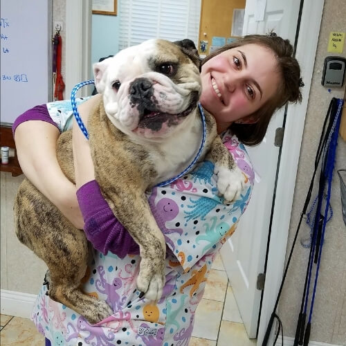 Veterinarian in Baton Rouge, LA 70816 O'Neal Lane Pet Hospital