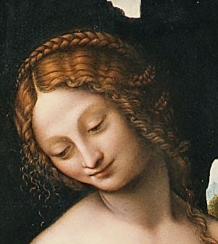 Leda_head