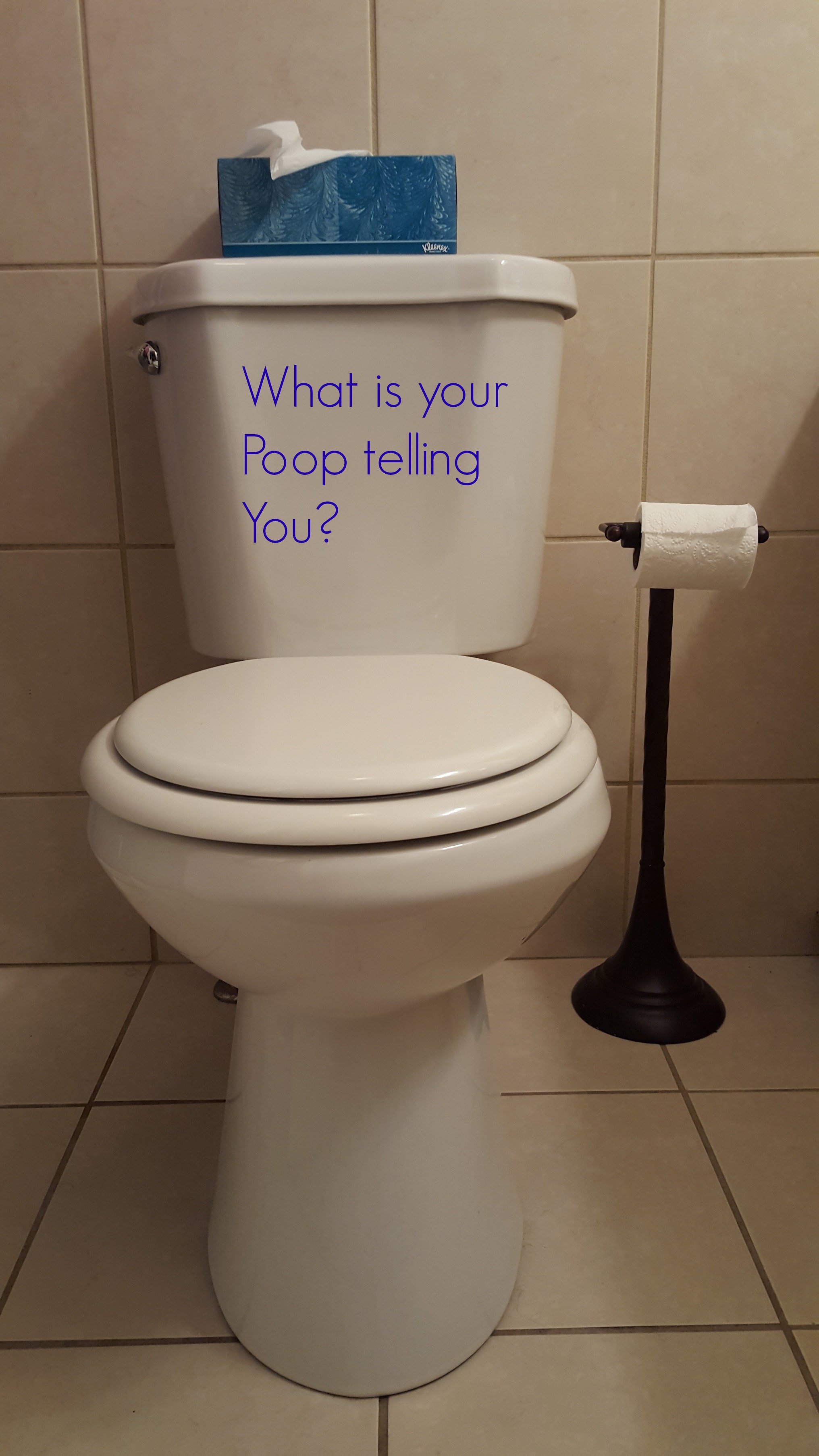 The Straight Poop on Stool onebitewellness