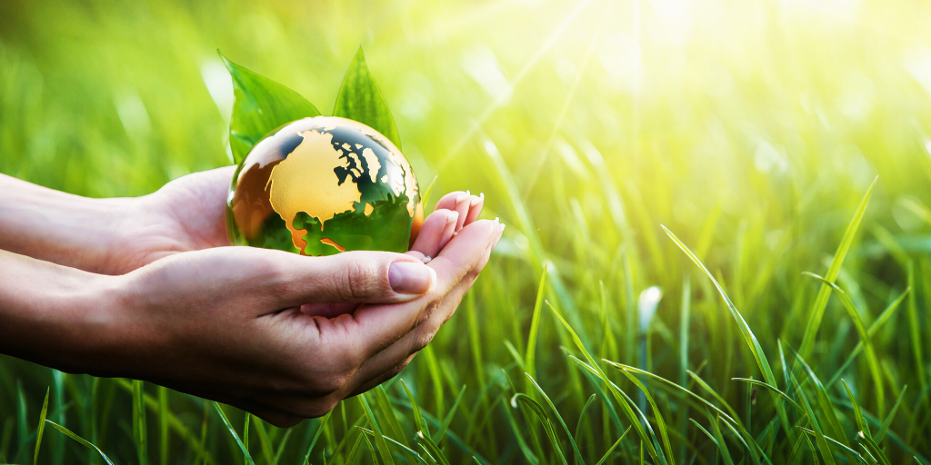 Chippenham climate & environmental groups One Chippenham