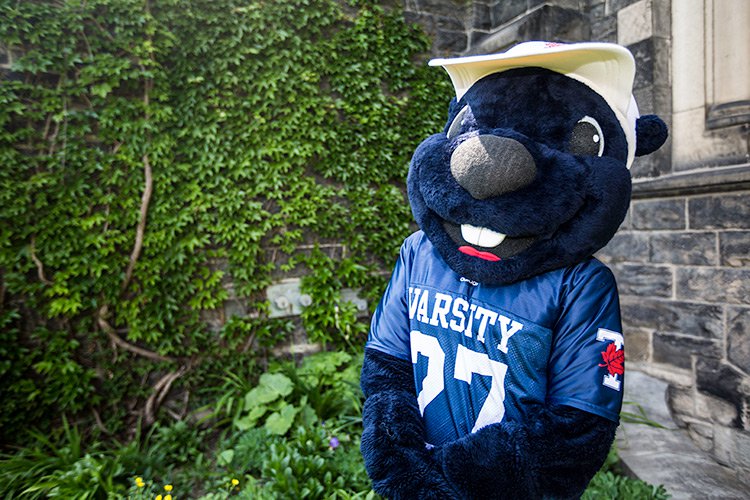 Top 10 Residences at UNB Fredericton OneClass Blog