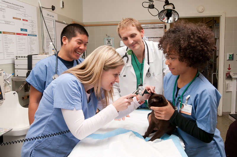 Best Majors at UC Davis OneClass Blog