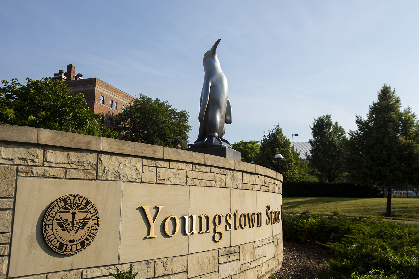 10 Coolest Courses at Youngstown State University OneClass Blog