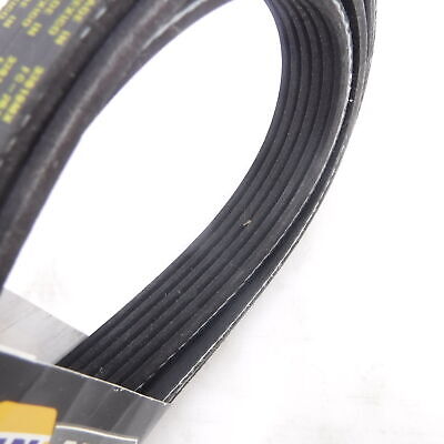 Napa 25-060919 Micro-V AT Serpentine Belt for 2013-2016 Audi Q5