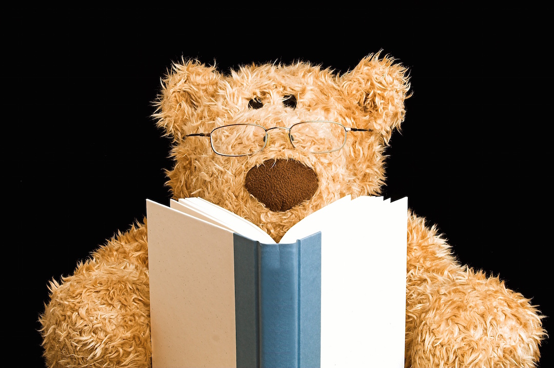 teddy bear reading One Day Creative