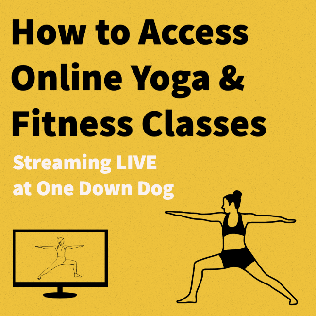 How to Access Online Yoga & Fitness Classes One Down Dog