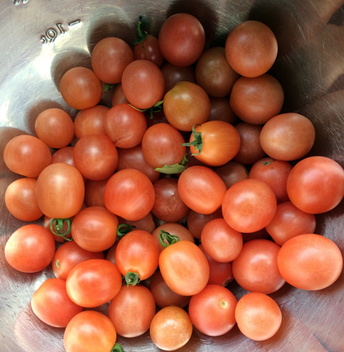 Pink Princess One Drop Farm