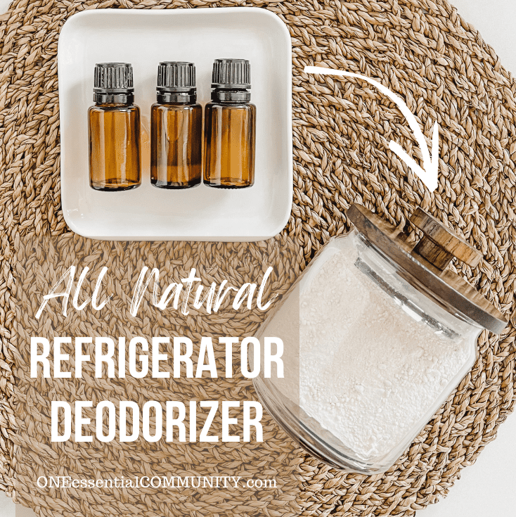 DIY Refrigerator Deodorizer {natural & effective!} One Essential