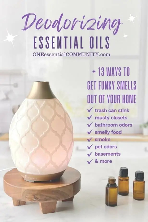 Deodorizing Essential Oils and 13 Ways to Get Stinky Smells Out of Your