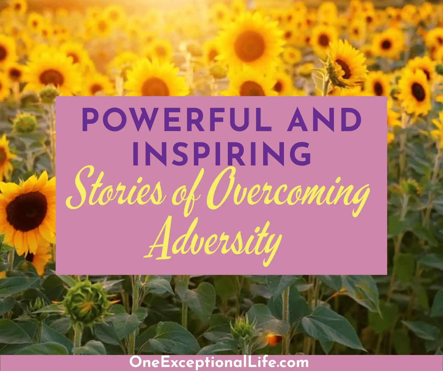 Powerful And Inspiring Stories Of Adversity