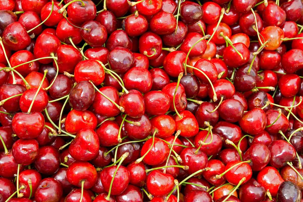 Cherry Health Benefits | Organic Ingredients | One Farm