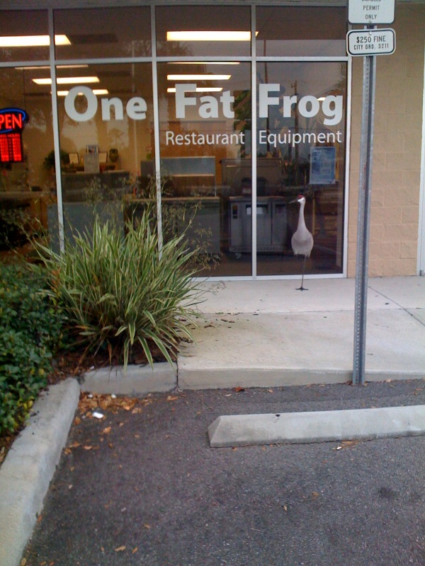 One Fat Frog Restaurant Equipment hires new employee One Fat Frog