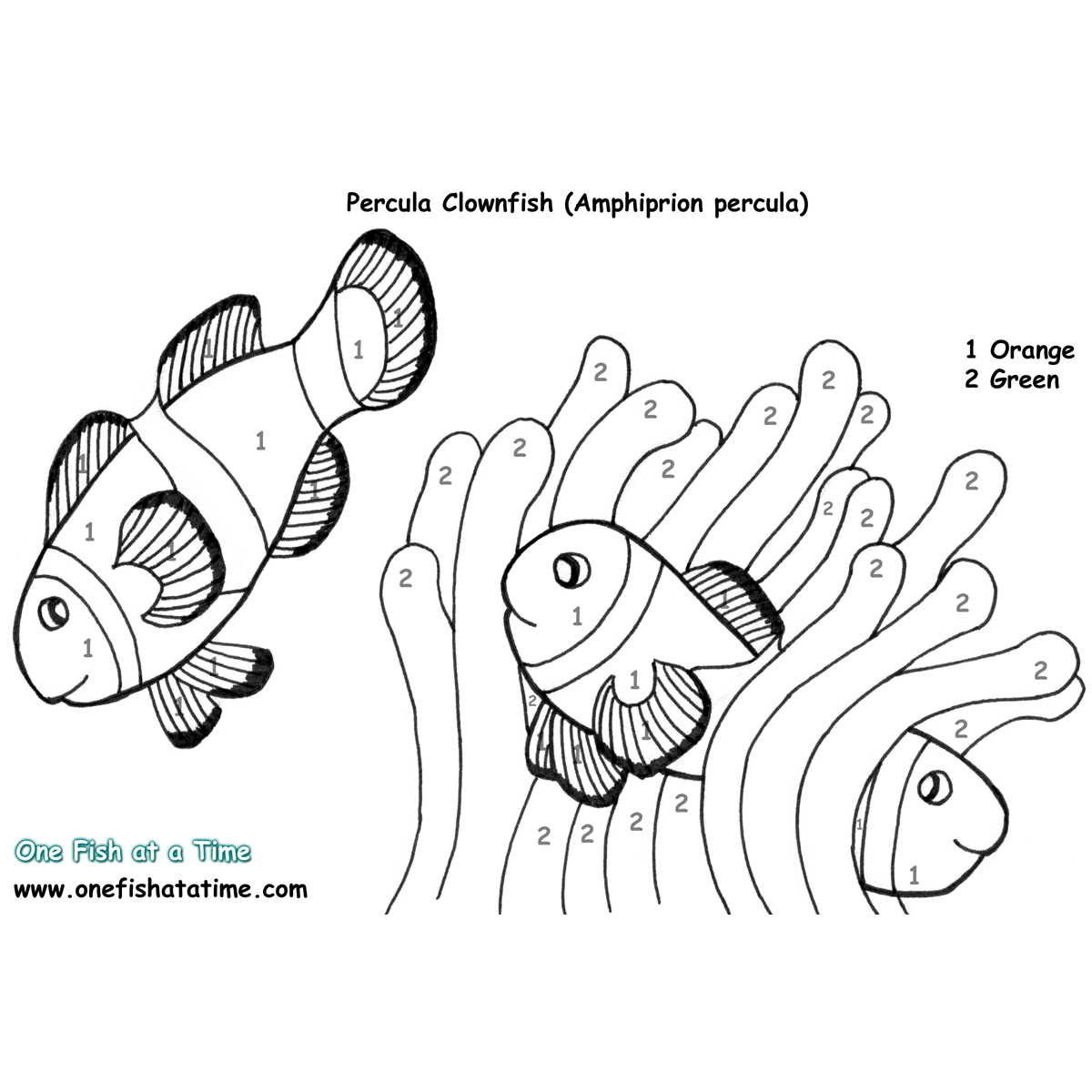 Colour By Numbers - One Fish at a Time