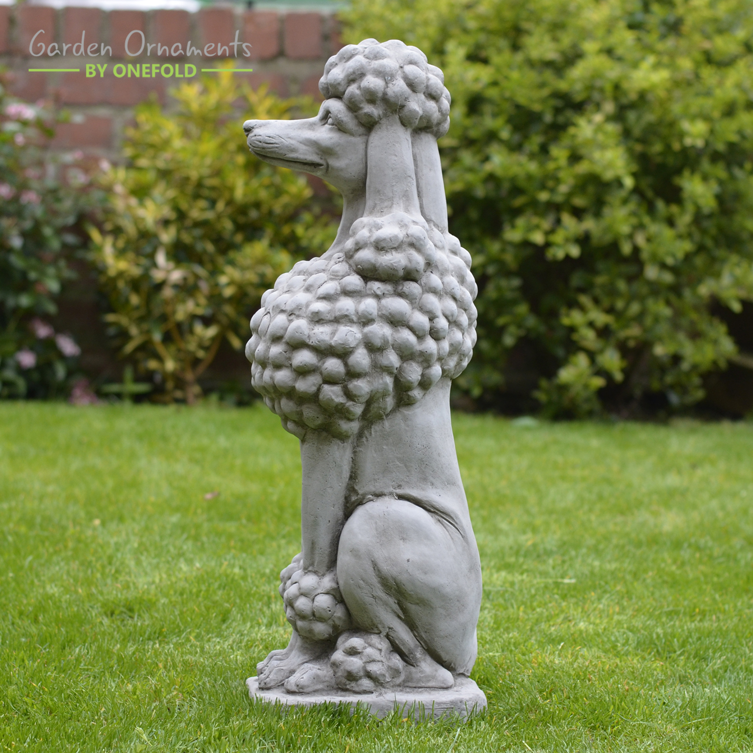 Sitting Show Poodle Garden Statue Onefold Ltd