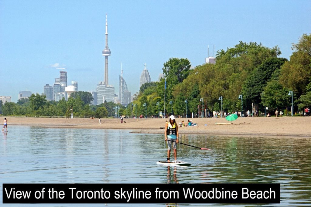 A Complete Neighbourhood Guide for Moving to The Beaches One Group Toronto Real Estate, Inc.