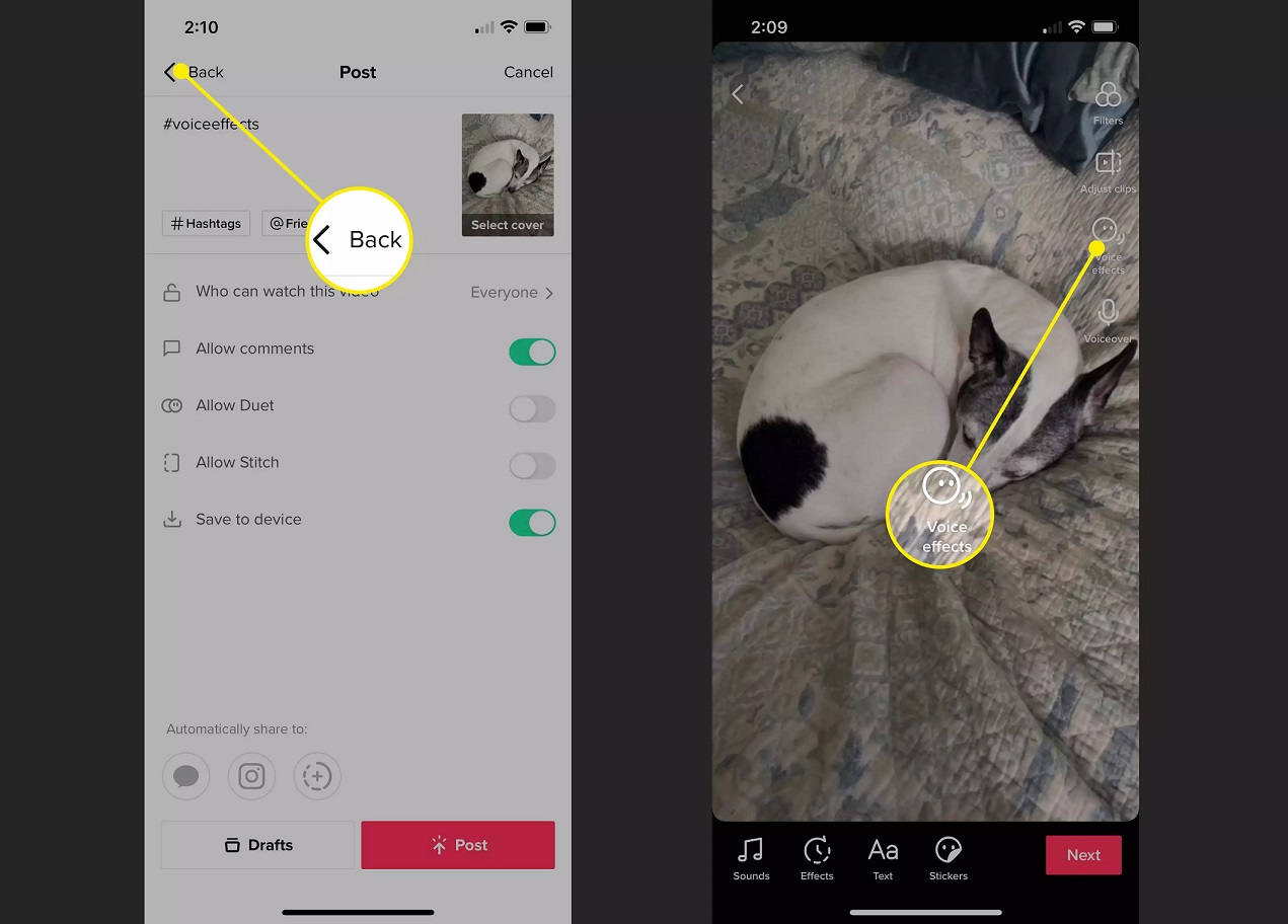 How To Change Your Voice On TikTok
