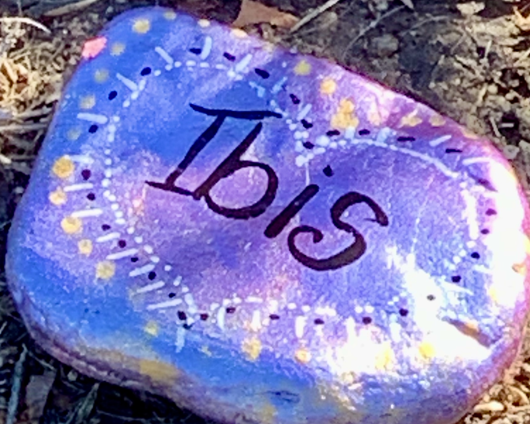 Paint Pet Memorial Stones DIY In Class One Heart Healing Center