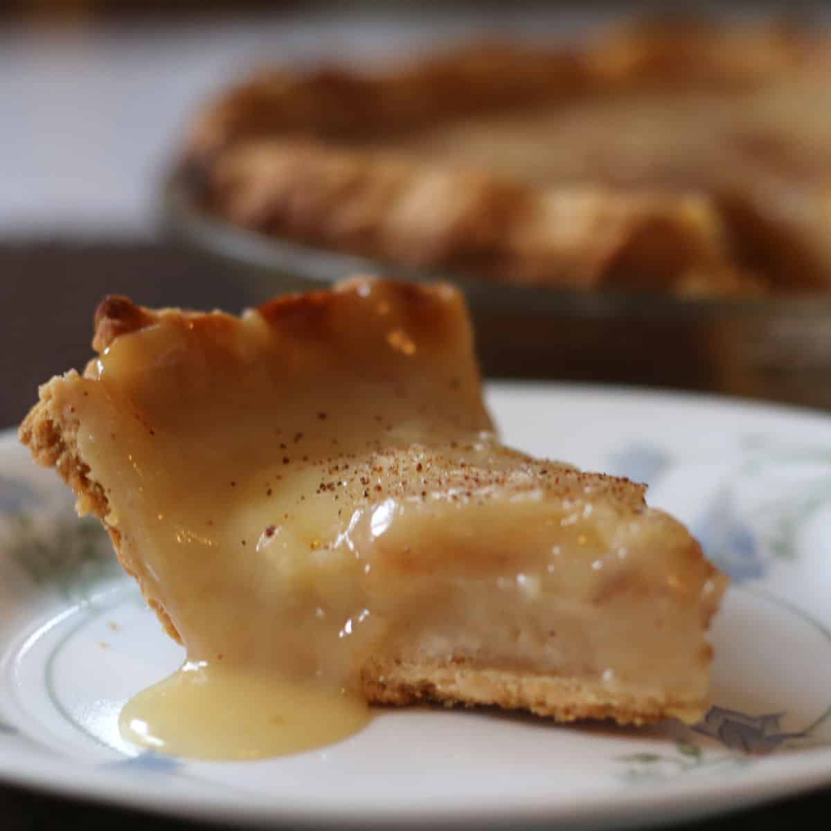 Sugar Cream Pie (The Hoosier Pie) One Hot Oven