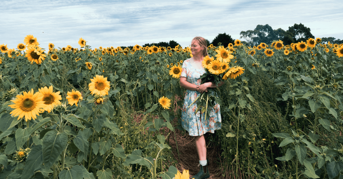 Sunflower season is finally open and it's time to get picking! One