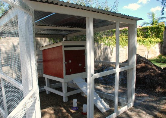 Lisa Turned an Old Dog House into a New Chicken Coop - One 