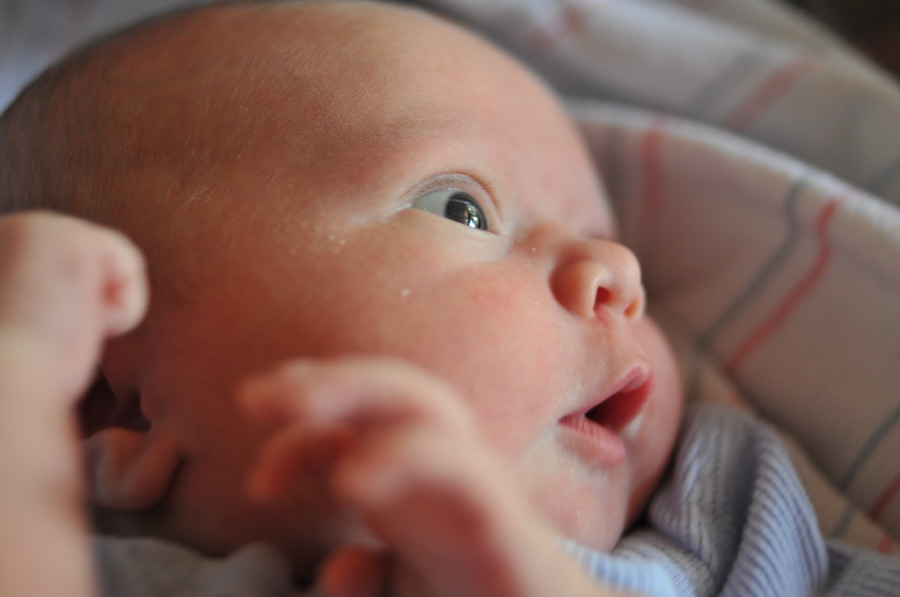 Penelope Jane One Inch World