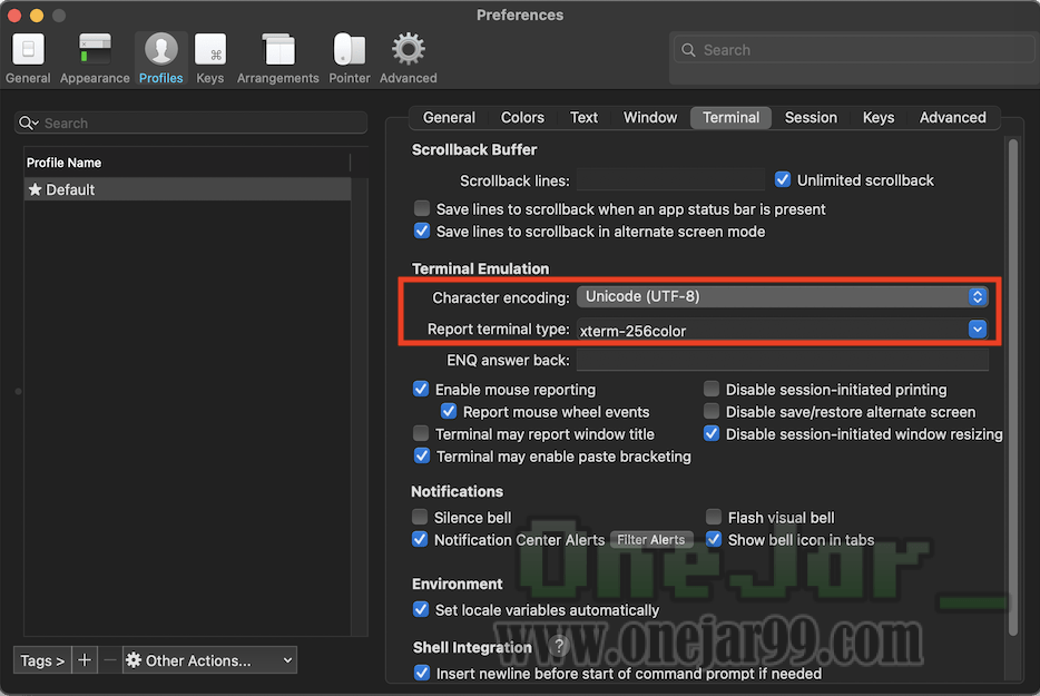 讓 macOS 的 Terminal 又潮又實用：手把手設定教學 iTerm2 + ohmyzsh + Powerlevel10k OneJar 的隧道