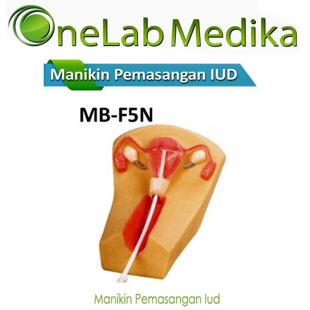 Manikin Pemasangan Iud