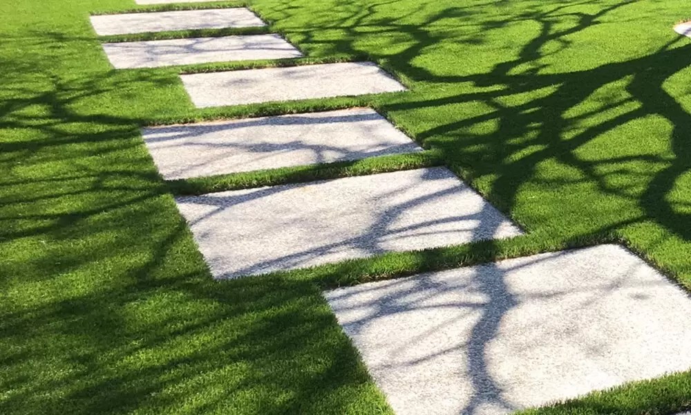 Transforming Bay Area Lawns One Lawn is all you need ! The Bay Area's Turf Experts