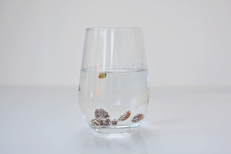 Dancing Raisins Experiment