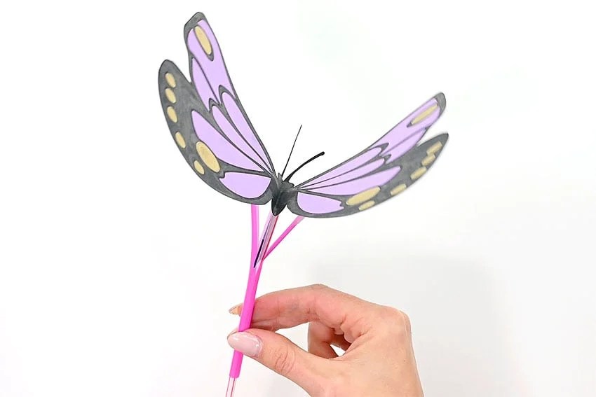 Butterfly Craft Flapping Butterfly Craft