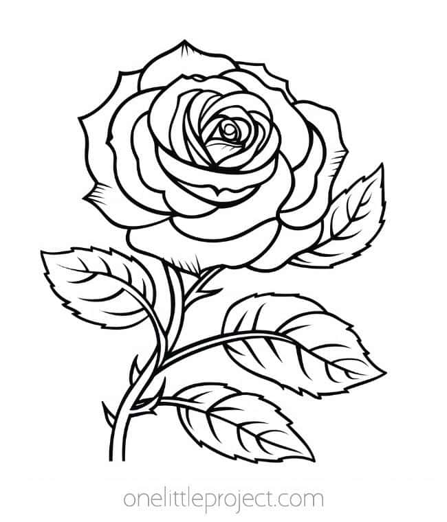 Flower Coloring Pages Free, Printable Flower Coloring Sheets