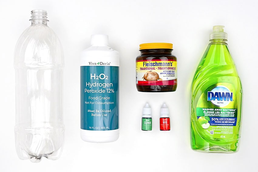 Elephant Toothpaste Science Experiment Fun and Easy Recipe!