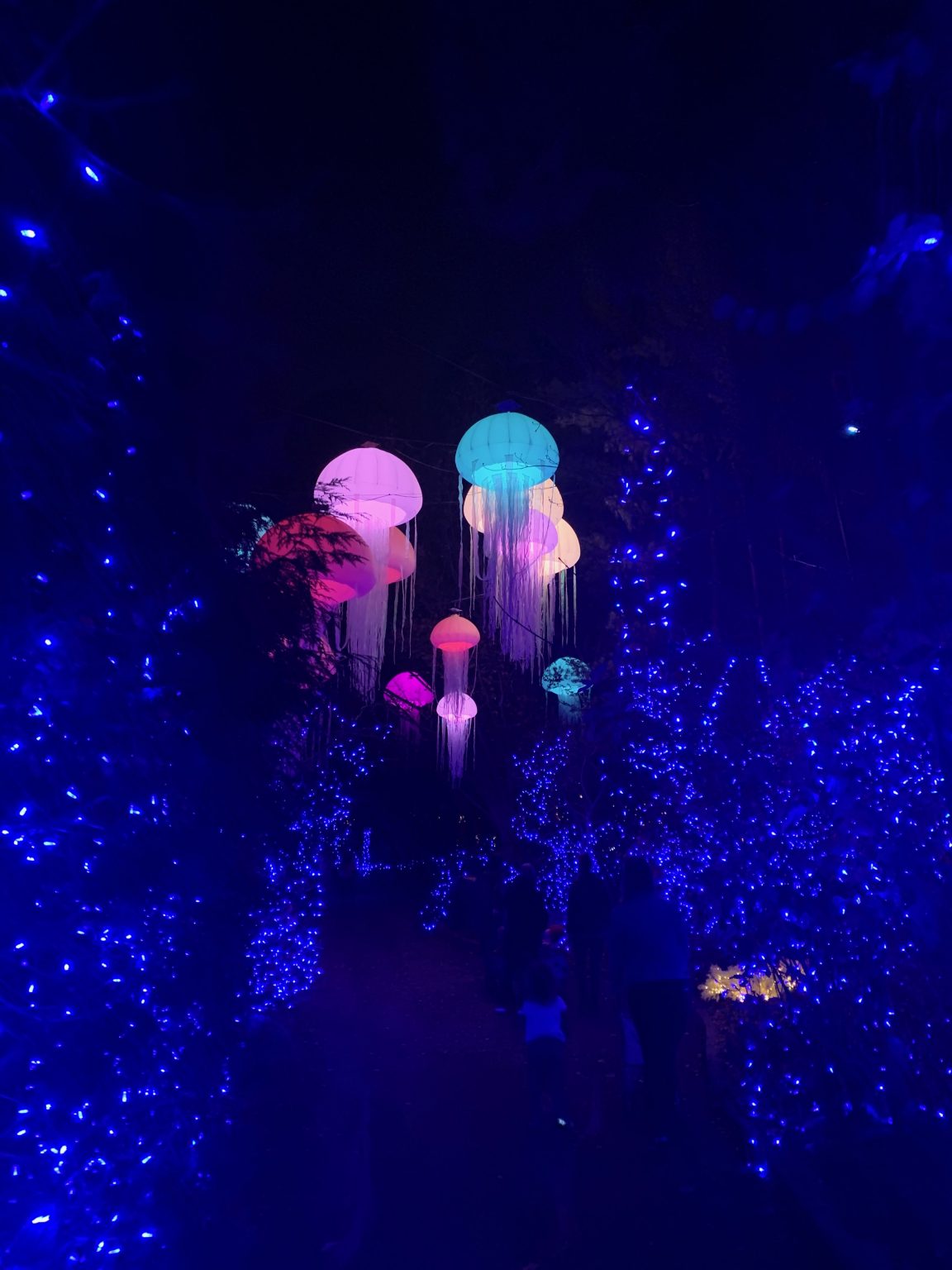 Cincinnati Holiday Lights One Little Small Blog