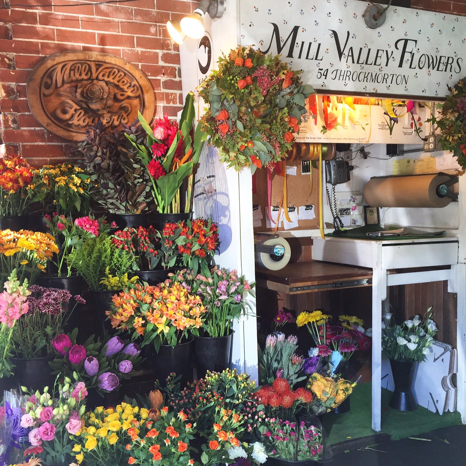 Local Finds Mill Valley The Bay Club Blog