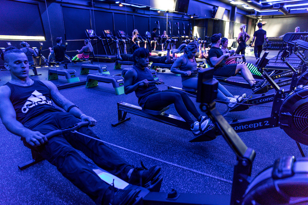Ignite Workout Bench Blog Dandk