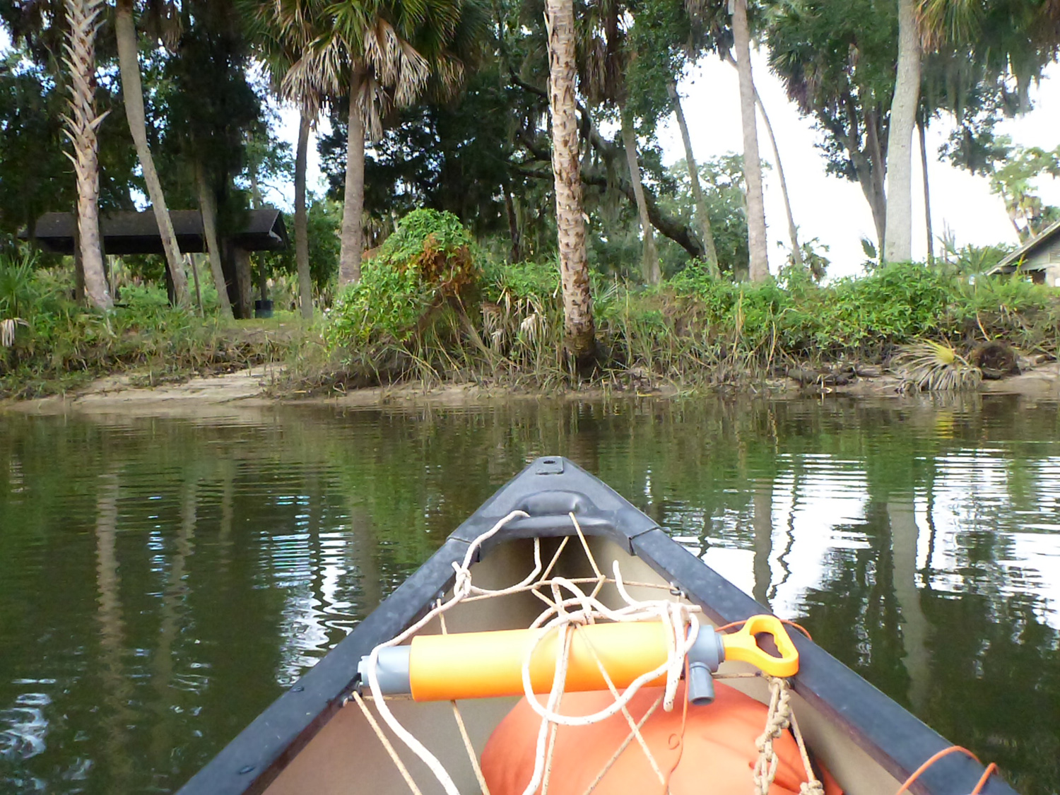 Crystal River Canoe Paddle One Long Drive