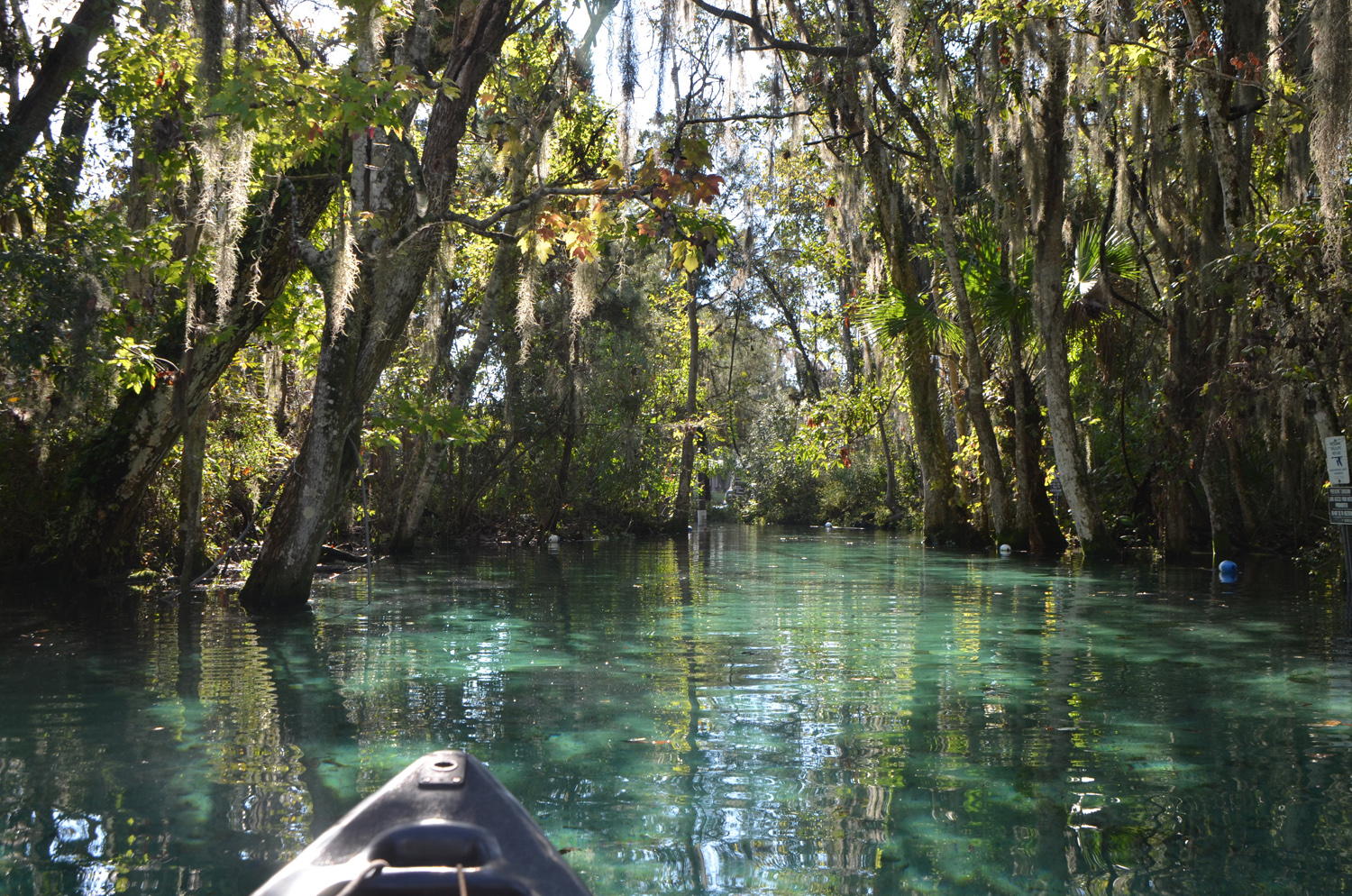 Crystal River Canoe Paddle One Long Drive