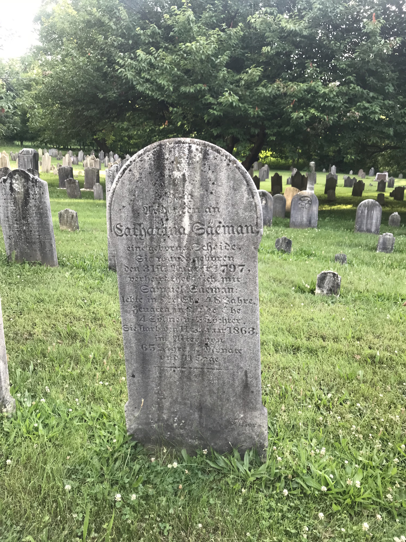 June 25 St. Michael’s Old Cemetery