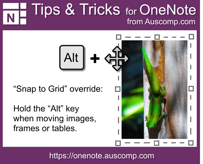 OneNote Tips and Tricks Snap to grid Templates for OneNote